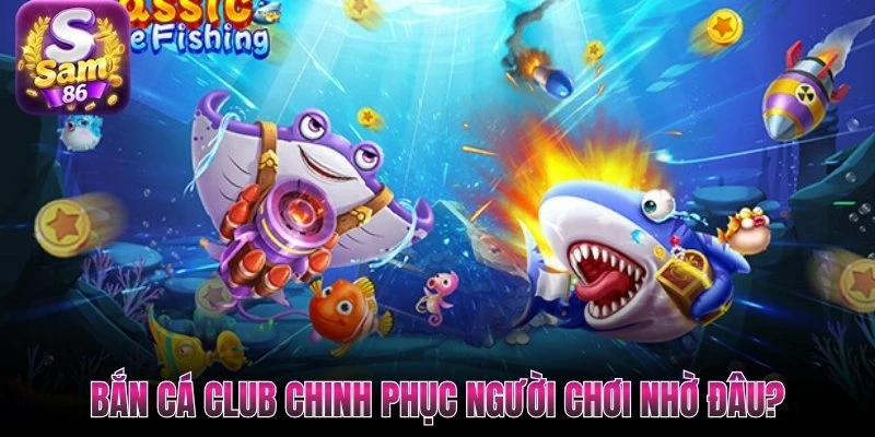 Bắn cá Club chinh phục người chơi nhờ đâu? Bắn cá Club chinh phục người chơi nhờ đâu?