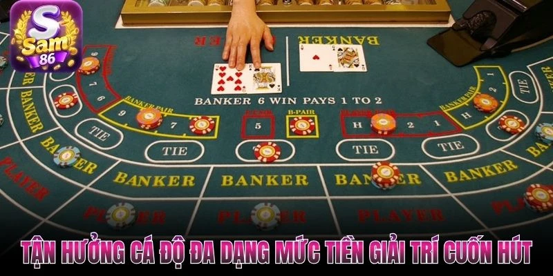 Tận hưởng cá độ đa dạng mức tiền giải trí cuốn hút Tận hưởng cá độ đa dạng mức tiền giải trí cuốn hút