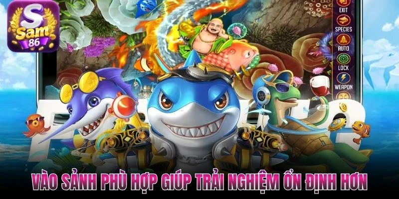 Vào sảnh phù hợp giúp trải nghiệm ổn định hơn Vào sảnh phù hợp giúp trải nghiệm ổn định hơn